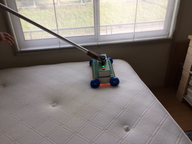 レッドシャワー（柄付きタイプ）